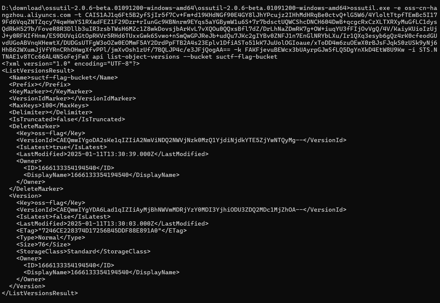 image-20250113155117420